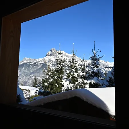 Montana Apartment Combloux
