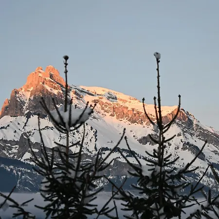 Montana * Combloux